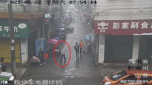 雪豹尸体事件背后：男子的偶遇与警方的回应