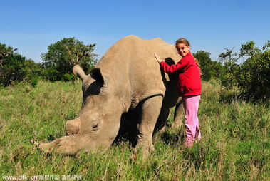 人与动物的奇妙羁绊：一场跨越物种的心灵对话