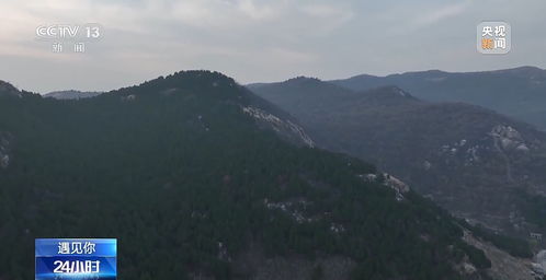 母亲为完成女儿遗愿，把荒山变青山：一份沉甸甸的爱