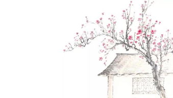 清明时节 踏青赏春正当时