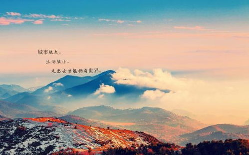 攀登战略高峰：山就在那里，你能看见并征服它吗？