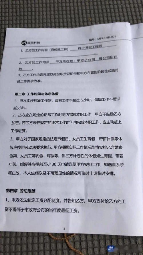 雪豹“凌小蛰”的生死救援：从奄奄一息到重新站立