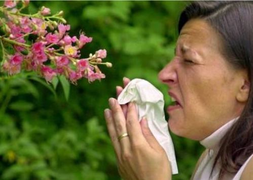 如何防治缓解花粉过敏症状？这份攻略请收好