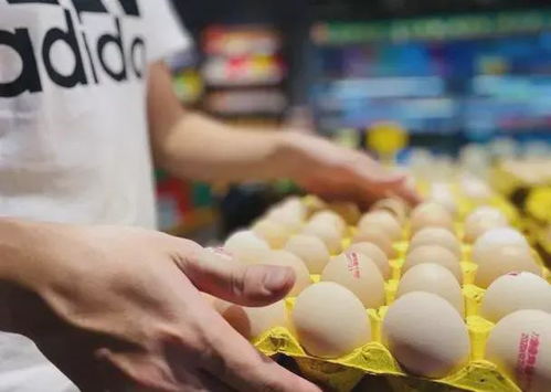 网传「人造蛋」流入市场，真相竟是这样！