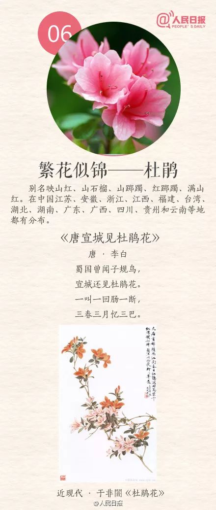 今日常识积累——中国十大名花的秘密与故事