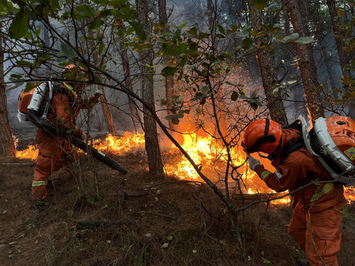 辟谣：四川凉山冕宁县腊窝乡并未发生森林火灾