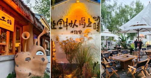 田野咖啡香：上海白领为何驱车1小时只为这一口？