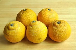 白鹿模仿苦尽柑来金宣虎笑：一场网络热议的奇妙旅程