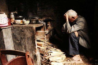 冲突爆发！上海老人离世，家属愤怒：保姆拿到巨额遗产，还要我们交出骨灰