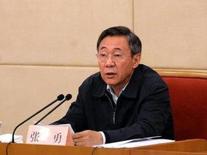 落马副部李刚：结交政治骗子，人生崩塌的警示录