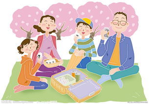 二十三年后的重逢：一段跨越时空的情感之旅