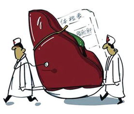 锤娜丽莎因重度脂肪肝减肥，背后的故事令人深思