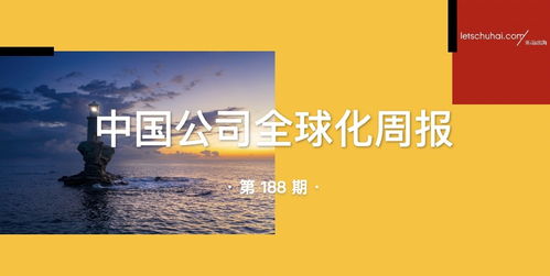 TikTok禁令再延75天与美国取消对华“小包免税”政策，全球化中的中国公司如何应对？