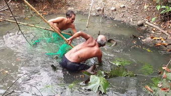 美人鱼在“臭水沟”里表演？辽宁盘锦景区回应来了