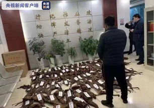 永州非法集资案：公职人员涉案背后的社会反思