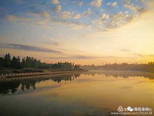 别样的风景：一场心灵的邂逅