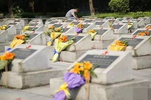 株洲市民扫墓时发现偷供果事件，陵园方和警方的回应来了