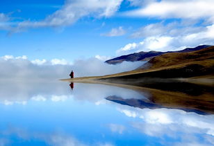 8首人生哲理古诗词，用自然治愈灵魂