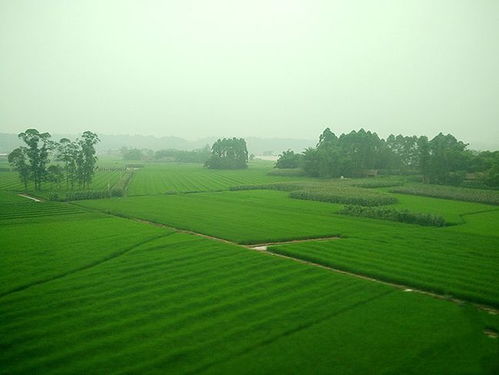 中国平原面积少，真的是先天不足吗？