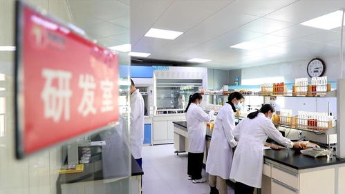 民营企业加速跑：新赛道、新动能、新未来