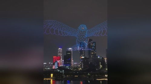 甲亢哥被深圳无人机表演震撼到：科技与艺术的完美结合