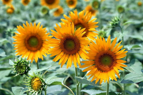 一个月只花30元，985毕业生的躺平生活背后