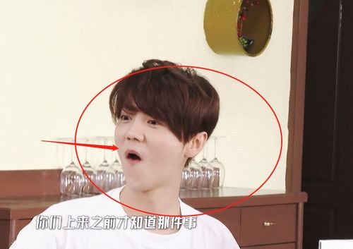 《五哈5》没有鹿晗，粉丝们如何面对？