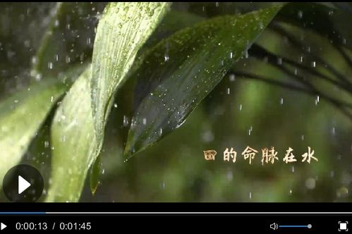 众人植树树成林：用行动守护绿色家园
