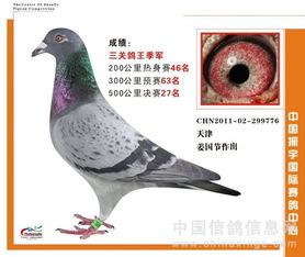 蔡徐坤维权成功：一场关于肖像权和名誉权的胜利