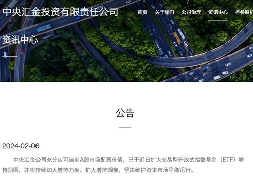 中央汇金再次增持ETF，国家队资金动向解析