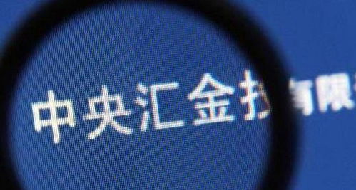 中央汇金增持：市场平稳背后的坚定力量