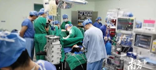 医院旁小吃店被曝胎盘加工，背后真相令人深思