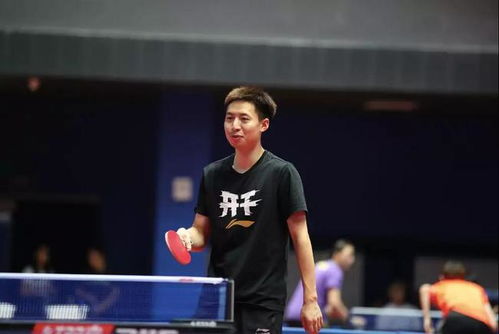 国家队增持潮起，A股市场信心倍增！