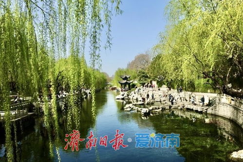 春日的风景：在简书邂逅的美好