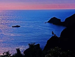 公路旅人海岛春日奇遇：在方舟市寻找奇妙任务的足迹