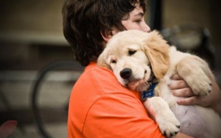 双语：孩子给狗狗读书的好处