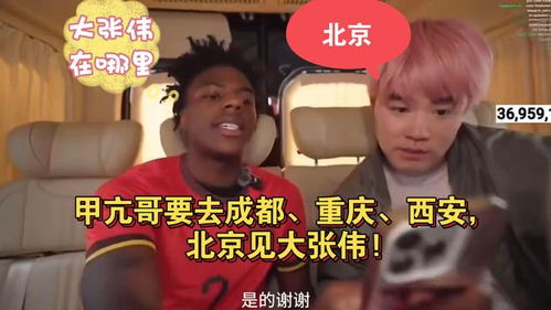 甲亢哥的中国行：从上海到重庆，直播背后的故事