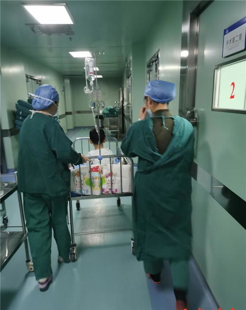 杭州别墅区惊现胚胎移植手术室：揭秘背后的真相