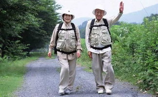 张国富《松鹤延年》：军旅书画家的尊老敬老艺术之旅