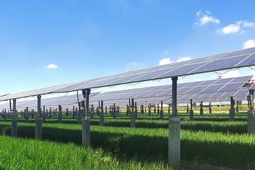 2025年光伏支架选购指南：索结构支架的未来趋势与特性