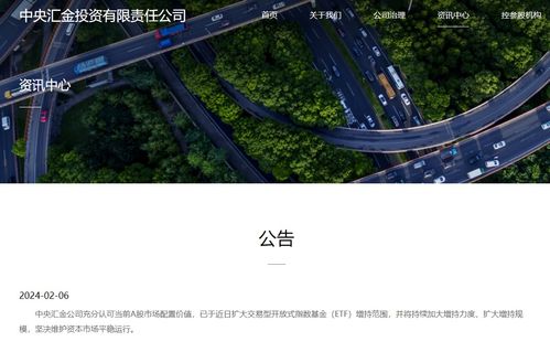 中央汇金增持ETF，未来继续加码！资本市场将迎哪些变化？