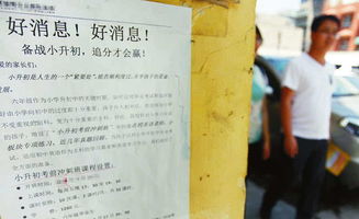 从“心”开始，找回拒学厌学孩子的生命力