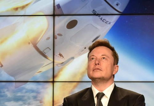 对等关税下的特斯拉：马斯克的焦虑与全球市场的震荡