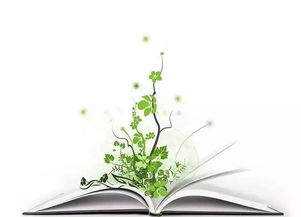 在生命的裂缝里种花，感受悄然生长的微妙力量