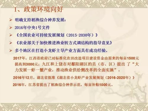 听和多种技能综合训练：方向一的奇妙之旅