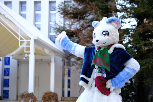 毛毛毛人毛毛毛：当心这个季节的“白色烦恼”