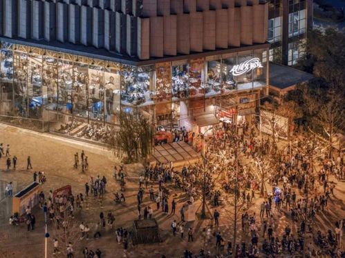 文和友创始人名下多家公司注销，背后真相竟是这样！