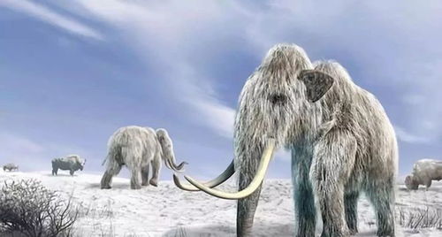 美科技公司成功复活灭绝超万年的恐狼：基因编辑的奇迹