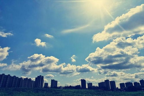 天晴了，心也跟着明朗起来了