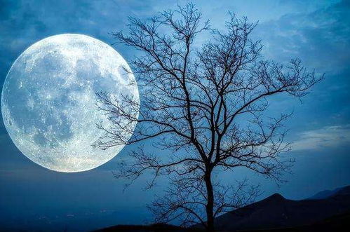 将灵魂泡进月光里的夜晚：一场与内心深处的对话